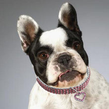 Load image into Gallery viewer, Gold dog Chain - Crystal Heart Pets Collar