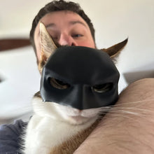 Load image into Gallery viewer, Bat Cat Avenger Mask