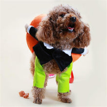 Load image into Gallery viewer, Pet Dog Pumpkin Halloween Costume