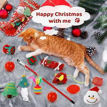 Load image into Gallery viewer, 2024 Christmas Countdown Cat&amp;Dog Toys Advent Calendar