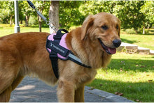 Load image into Gallery viewer, Reflective all-in-one No Pull Dog Harness