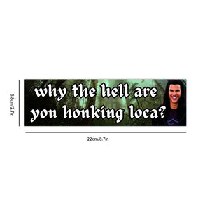 Bumper Sticker-bella where the hell have you been loca