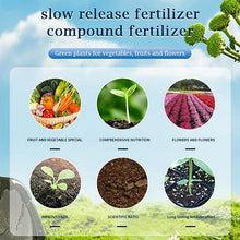 Load image into Gallery viewer, Slow Release Garden Universal Fertilizer Tablets