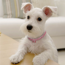 Load image into Gallery viewer, Cute Crystal Dog Necklace