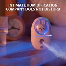 Load image into Gallery viewer, Mini Cartoon Nano Humidifier