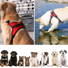 Load image into Gallery viewer, Hirundo® No-Pull Dog Harness, Adjustable Harness for Dogs