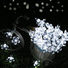 Load image into Gallery viewer, Solar Flower Strings Lights