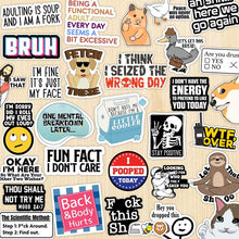 Load image into Gallery viewer, Set of 130 Pcs Funny Saying Stickers